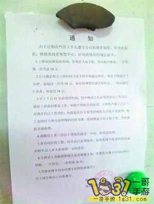 泧桾һΡ