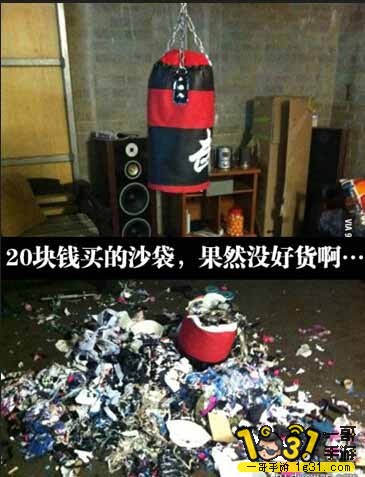 202119kzfeoy7gd6c72tnu.jpg