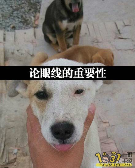 dcdbd02ffe85732923787aa93ca27f84.jpg
