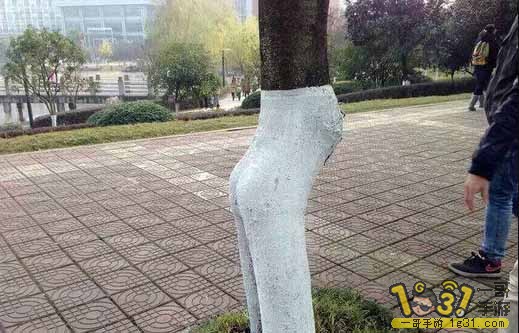QQͼƬ20150115093122.jpg