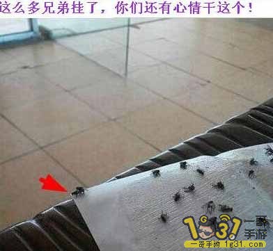 QQͼƬ20150128115604.jpg