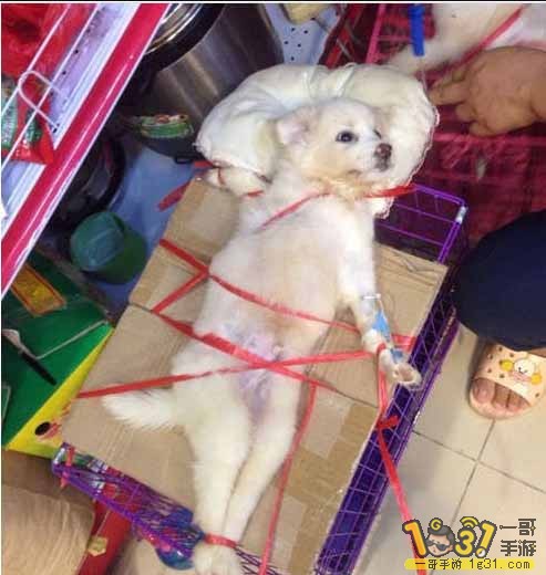 QQͼƬ20150128115750.jpg
