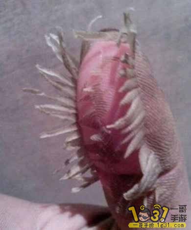 QQͼƬ20150128115844.jpg