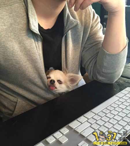 QQͼƬ20150306220403.jpg