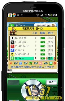 36.JPG