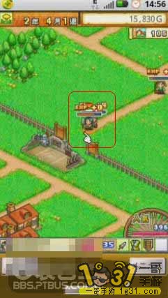 4.JPG