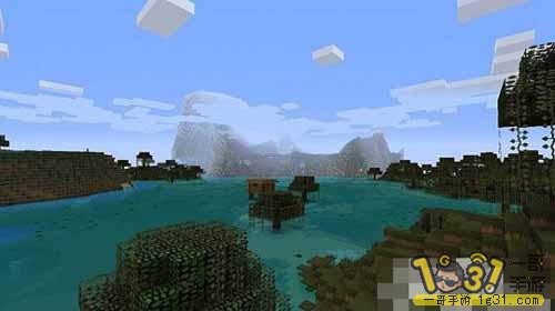 11.JPG