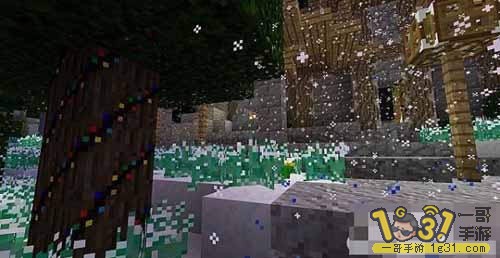 7.JPG