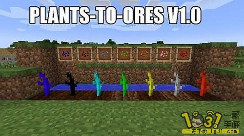 1.JPG