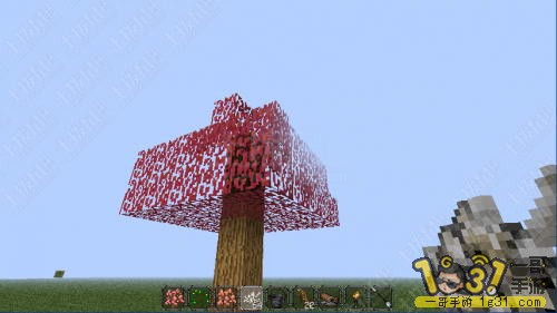 4.JPG