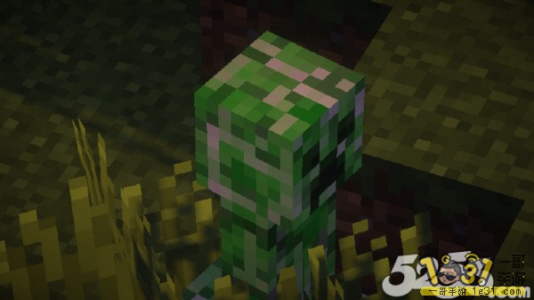 5.jpeg
