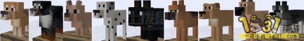 1.png