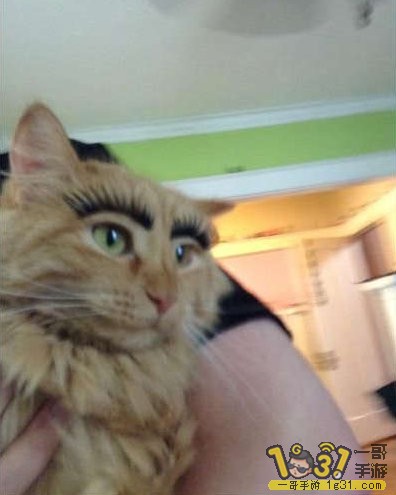 17.jpg