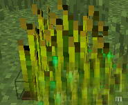 16.JPG