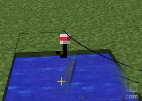 2.JPG
