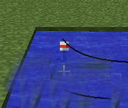 3.JPG