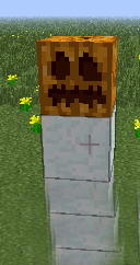 6.JPG
