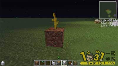 1.JPG