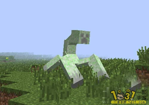 12.JPG