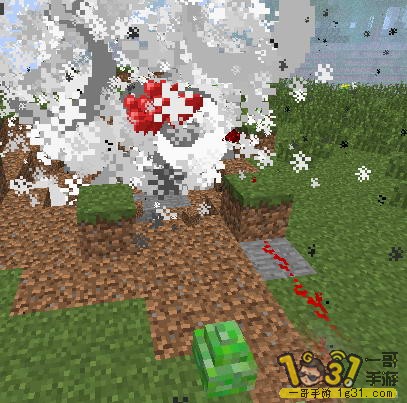 19.JPG