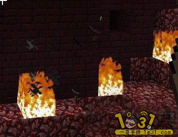 14.JPG