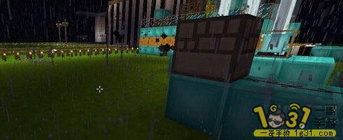 5.JPG