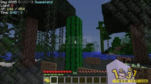 6.JPG