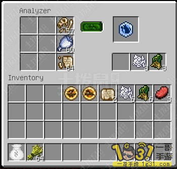 13.JPG