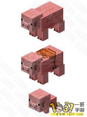 1.JPG