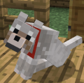 8.png