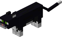 11.gif