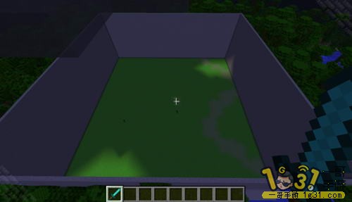 3.JPG