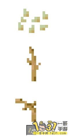 1.jpeg