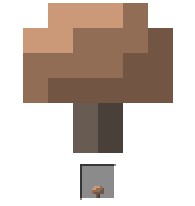 1.jpeg