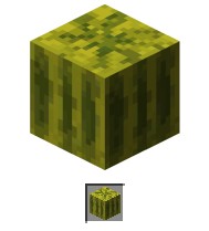 1.jpeg