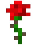4.jpeg