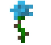 7.jpeg