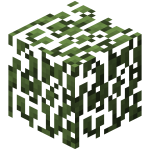 11.png