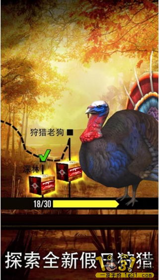 QQͼƬ20151115115849.JPG
