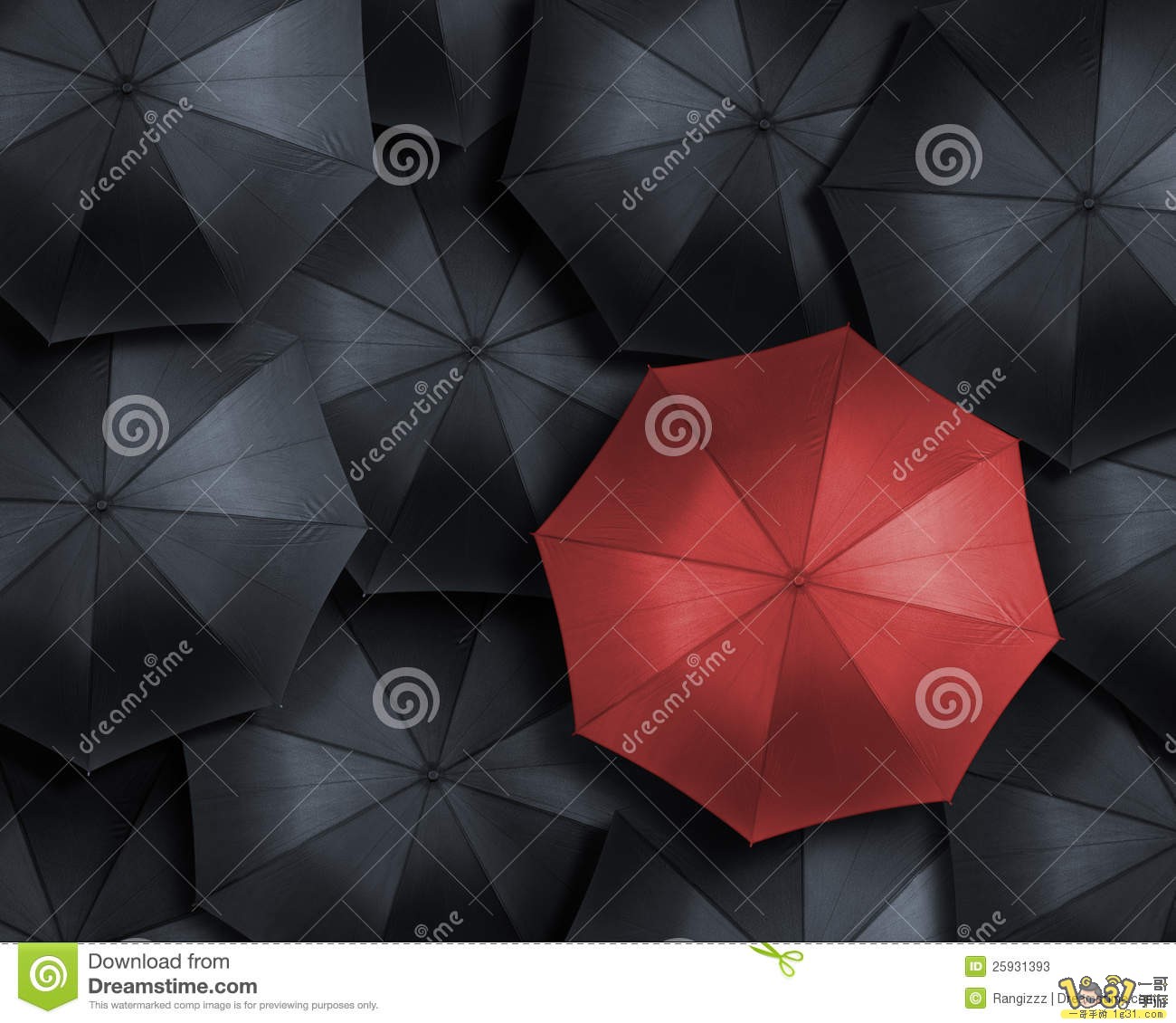 none-25931393.jpg
