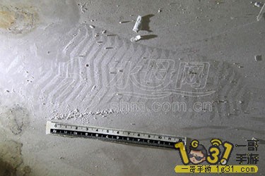 74e50bb2d67612602e3d02.JPG