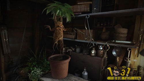 涯vr2.jpg