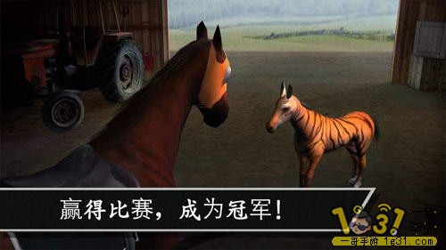 114656ec08cb8ys8s0uhh3.jpg
