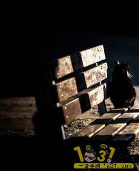 timg_image&amp;quality=80&amp;size=b9999_10000&amp;sec=1489149510700&amp;di=ac8d8a70ef9c.jpg