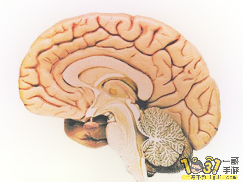 mp27287963_1439477259386_1.png