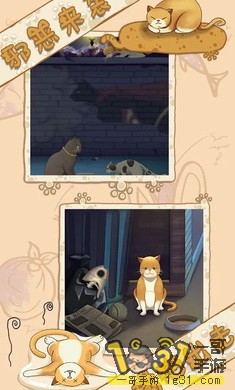 091949xeu79sggf37tu9tz.jpg