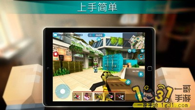234015sg10thq00778sik1.jpg