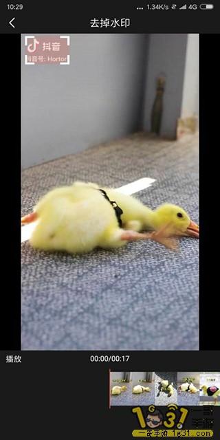 104253rr9y0cz9mr4lm9c3.jpg