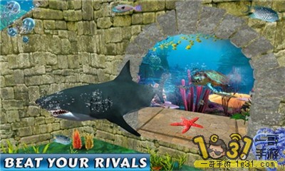 115635zwxxjp2d5v5w3pbp.jpg