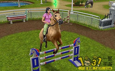 070311o98qcnc9lqn9pnnt.jpg
